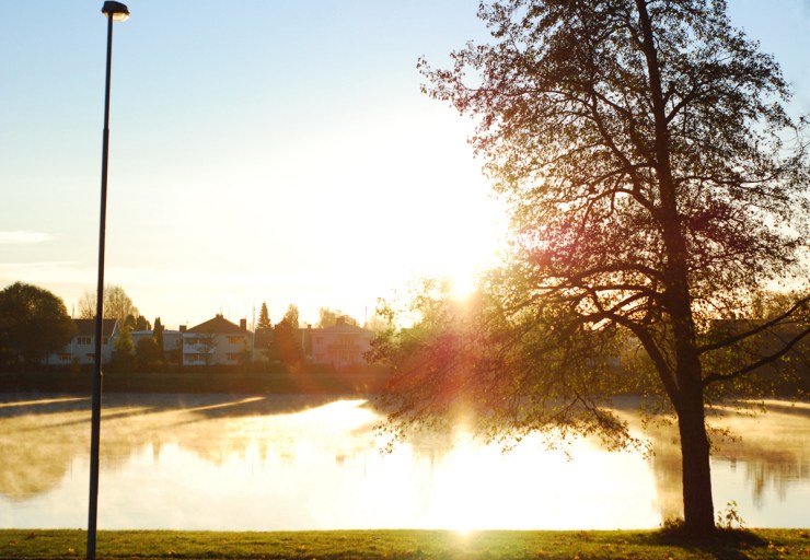 Stolpe och Träd vid Älven