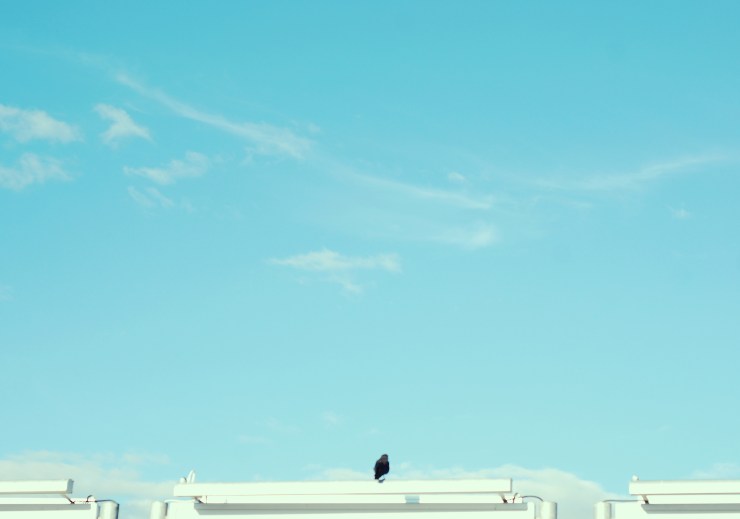 Neagtivt utrymme Kaja