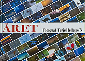 Året - Terje Hellesø 