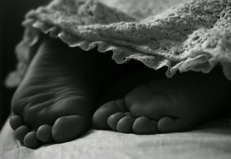 Spetslakan Spetslakan