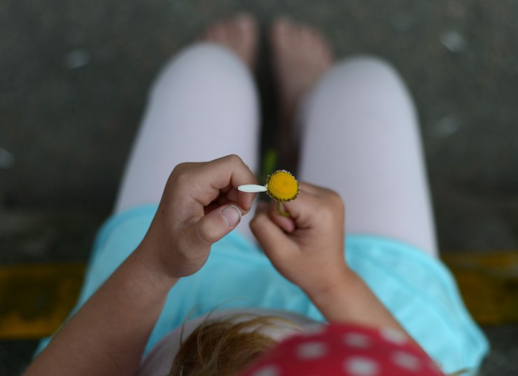 Älskar Älskar inte