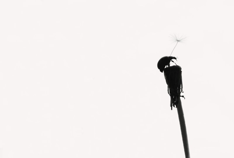 On The Top Of The World