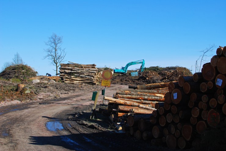 Kartberget Grusvägen