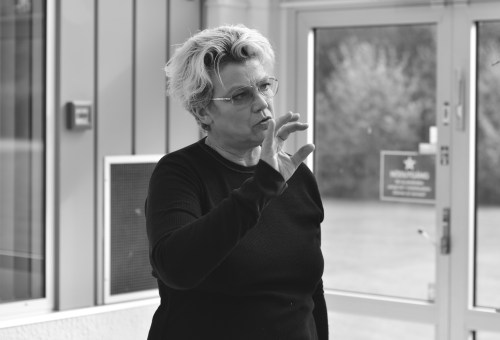 Elisabeth Ohlson Wallin