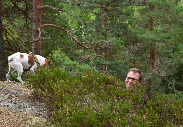 Fotografen i lingonriset