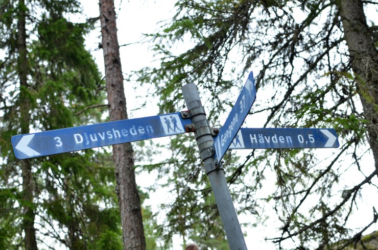 Glaskogen Vandring 035_Vägskyltar Vägkorsning i skogen