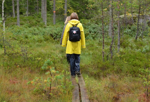 Vandring över spångar i Glaskogen