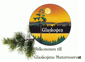 Logo Glaskogen