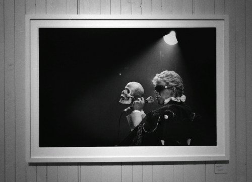 David Bowie foto av Mats Bäcker