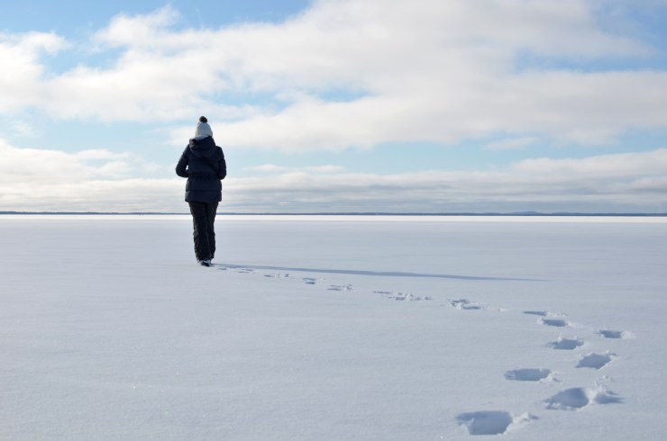 Into the Great Wide Open