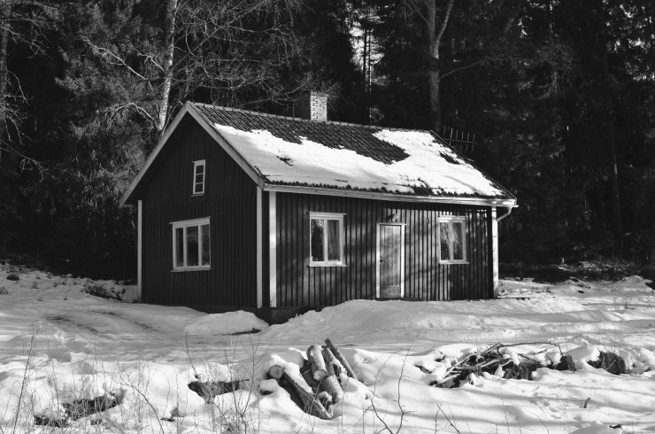 Trasig Handelsträdgård Karlstad