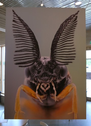 Minimonster av John Hallmén