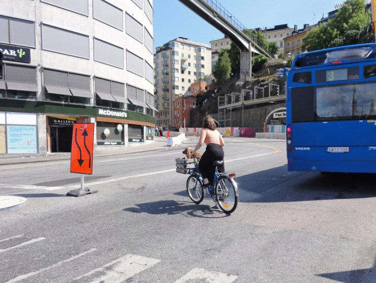 En hund är ute och cyklar vid slussen