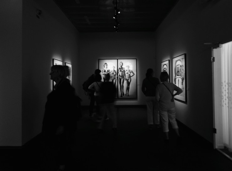 Besökare som tittar på utställningen med Helmut Newton
