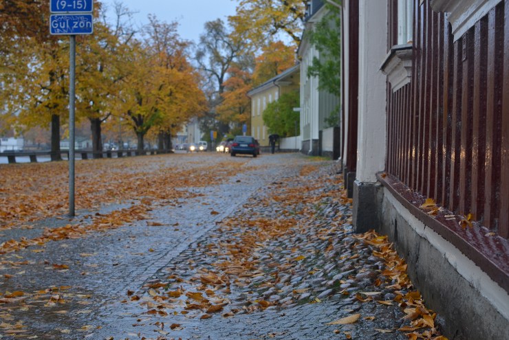 Gul zon