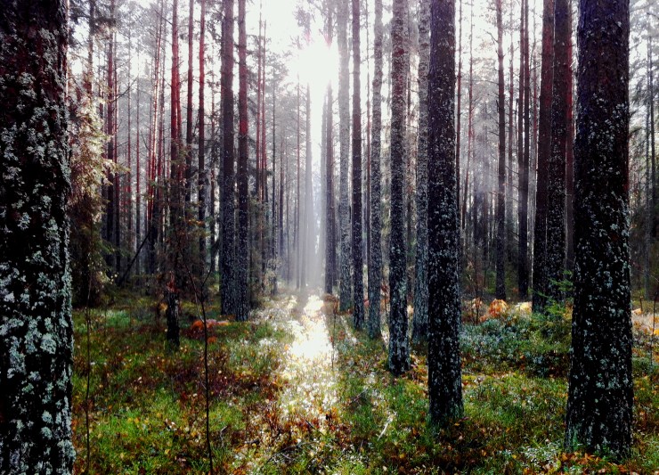 There is a crack in everything, that's how the light gets in