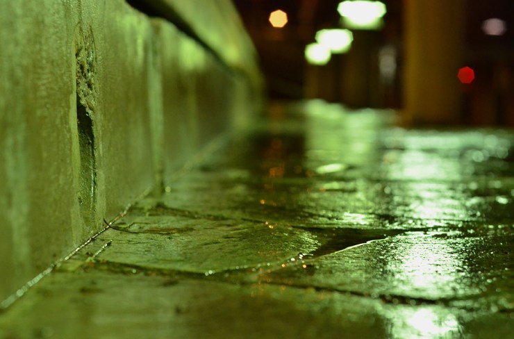 WetGround_Webb_DSC_7671 - Kopia