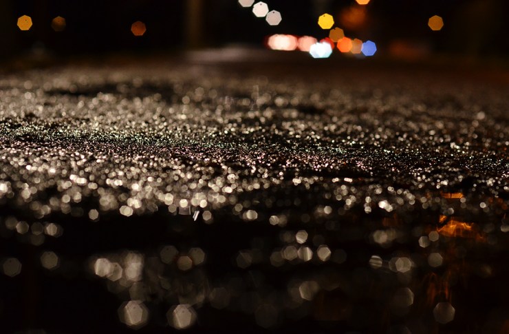 WetGround_Webb_DSC_7706 - Kopia