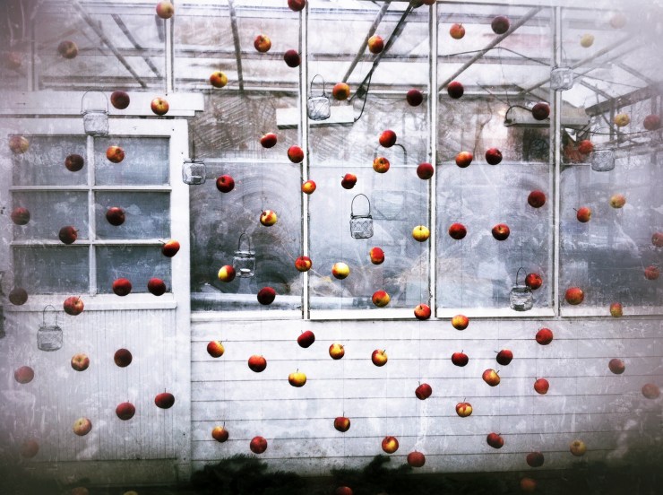 Ett draperi av äpplen