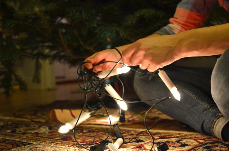 Trassel_Webb_DSC_7942