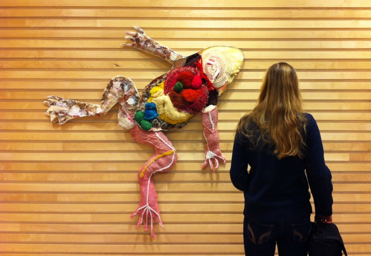 Groda -Djurens virkliga värld