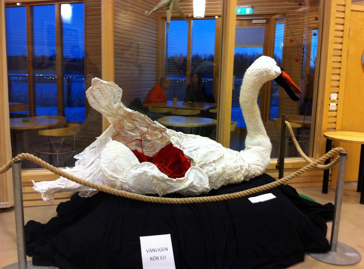 Svan - Virkliga djur