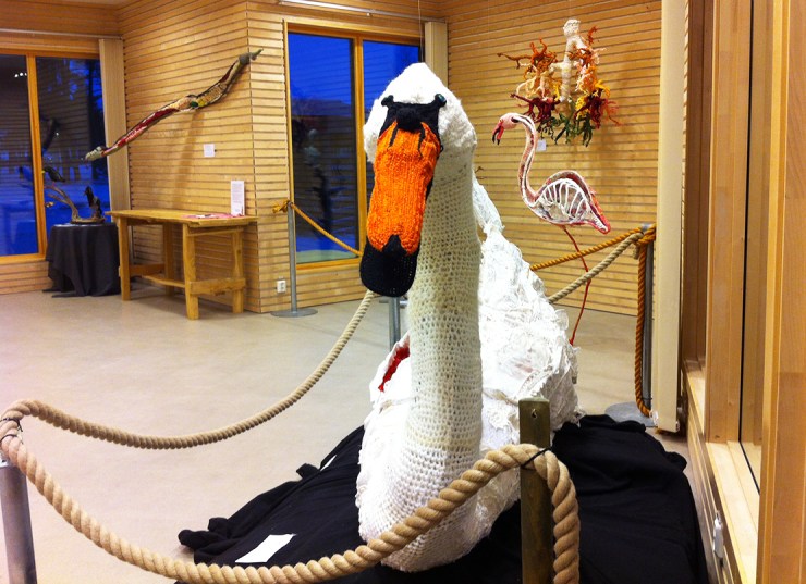 Svan - Djurens virkliga värld