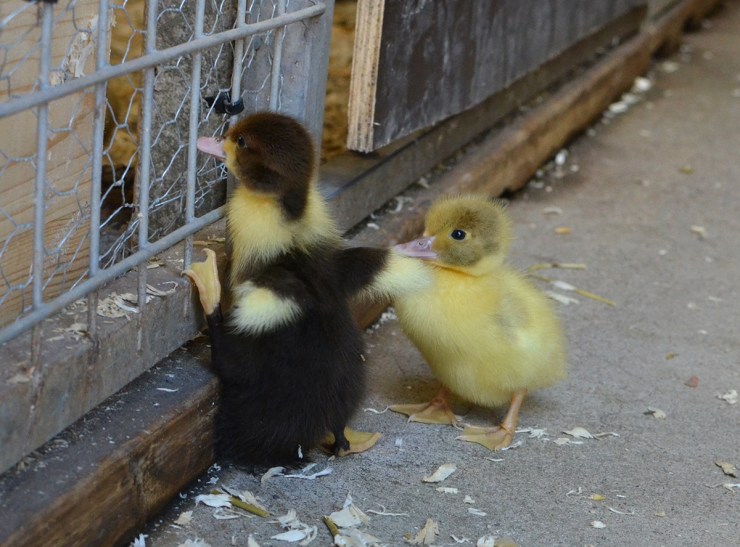 HallåHärÄrVi_1200px_DSC_9367