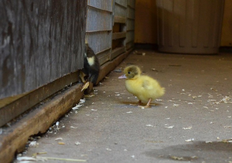 PåVägIgenom_1200px_DSC_9342