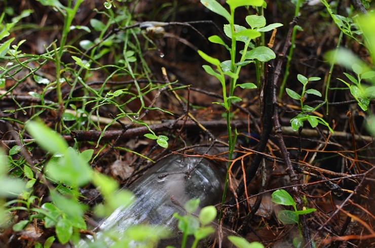 Vodkaflaska_1200px_DSC_9252