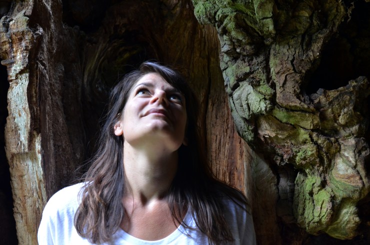 Häggvikseken_webb_DSC_9799