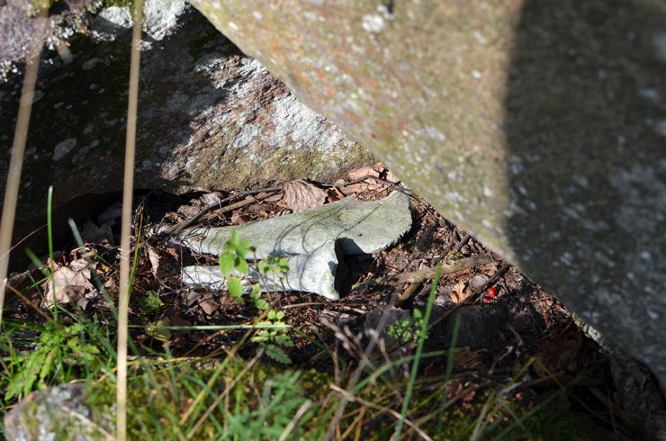 Benrester vid "Svälltutabacken" - Gravfält
