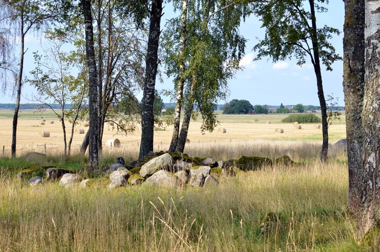"Svälltutabacken" - Gravfält