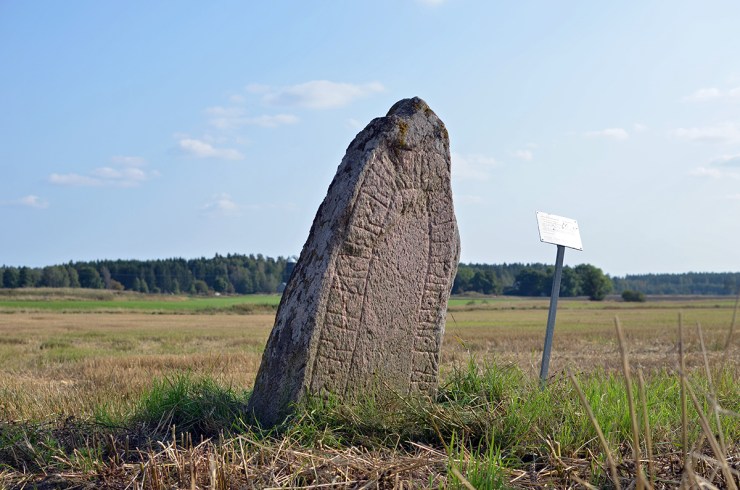 RunsteneniÅste_webb_DSC_0718