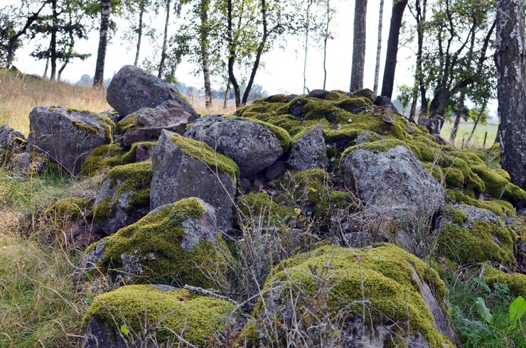 "Svälltutabacken" - Gravfält