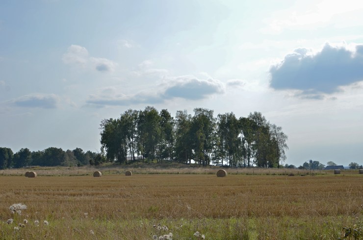 "Svälltutabacken" - Gravfält