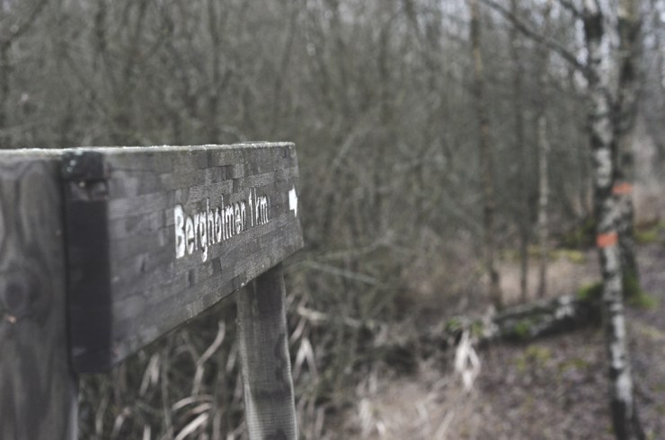 BergholmenSkylt2_webb_DSC_1504