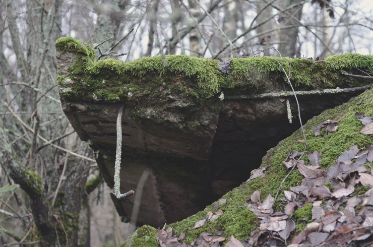 BetongMossa_webb_DSC_1400