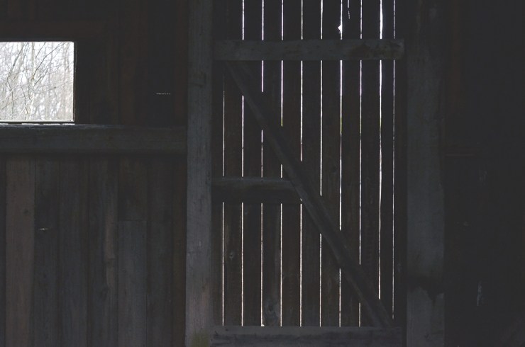 Dörrspringor_webb_DSC_1449