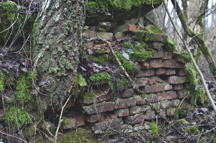 Tegelstenar_webb_DSC_1409