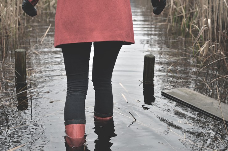 Vadare_webb_DSC_1457