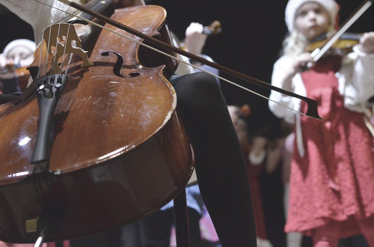 DSC_1710_Cellist_webb