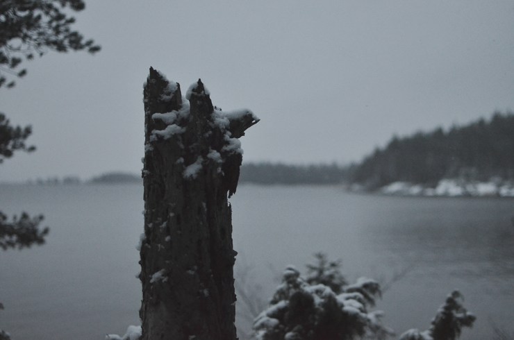 Kycklingleden - Vänern