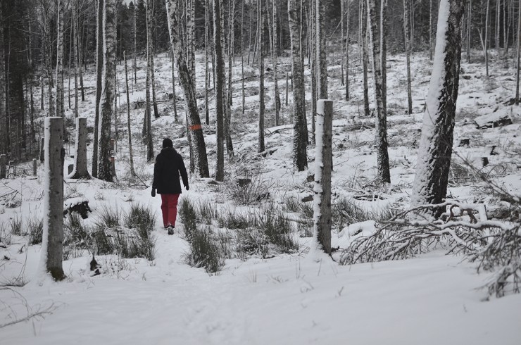 Vandring Kycklingleden