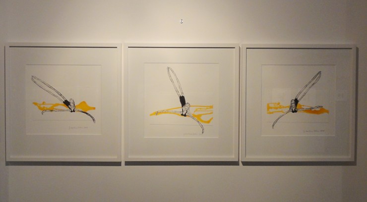 DSC03206 _KarolinaNorlin