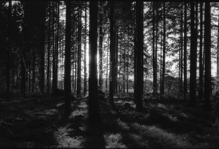 Hide and seek with the sun