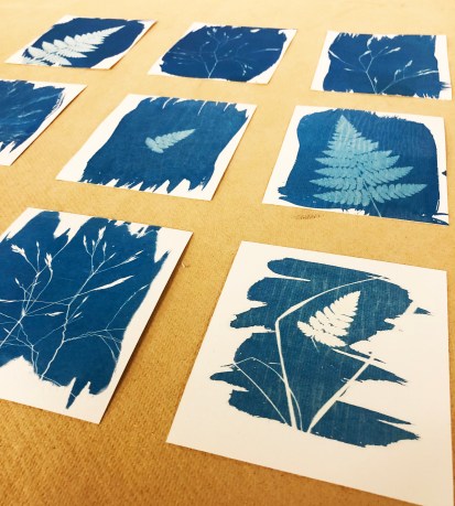 Fotogram som jag skapat med cyanotypi.