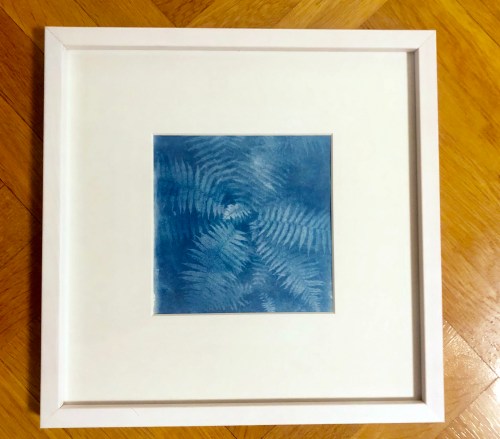 En inramad bild på ormbunke med cyanotypi