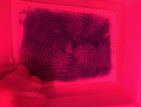 Skölj i vatten och bilden framkallas