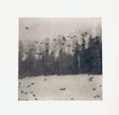 Fåglar i vinterskog - Fotogravyr med fotopolymer